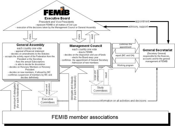 Organisation of FEMIB according to the statues